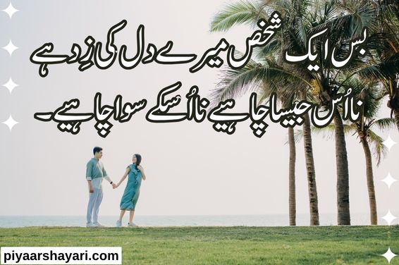 love-shayari-urdu