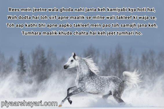 Motivational Shayari