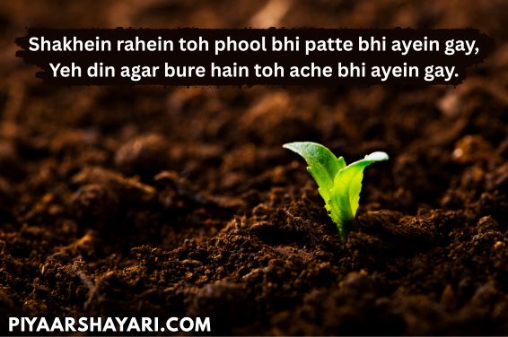 2 Line Shayari Life