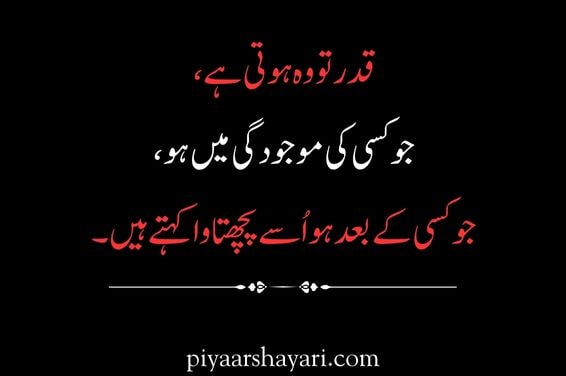 Urdu Shayari On Life