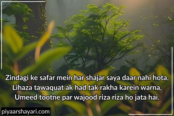 sad shayari on life