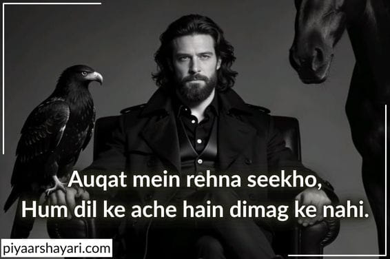 Don Shayari
