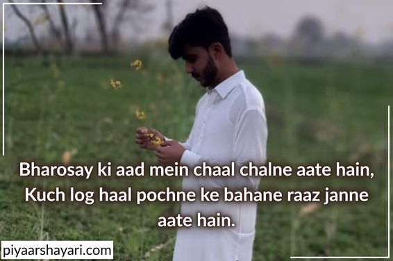 Don Shayari
